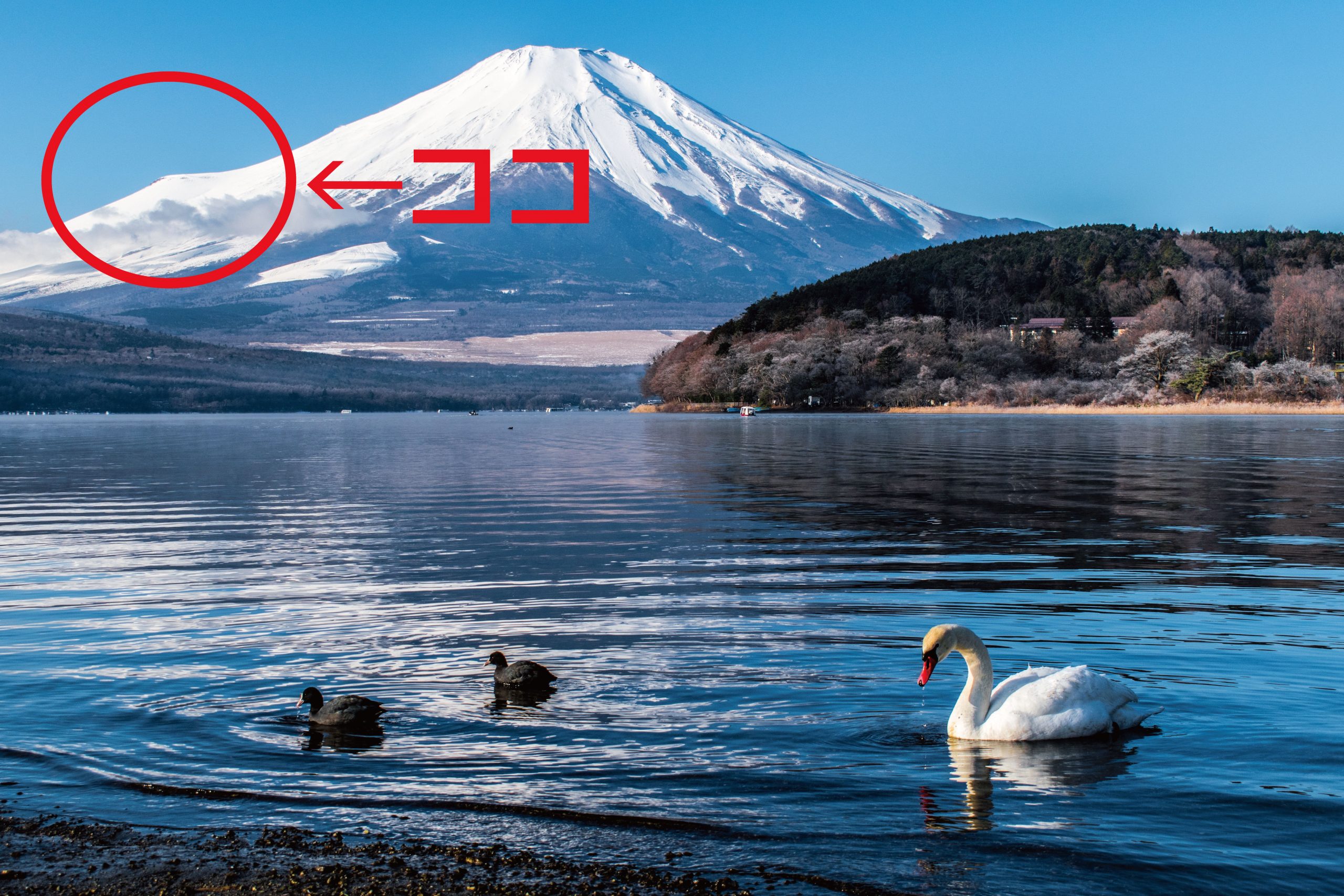 手軽に富士登山練習 宝永山遊歩道コースの紹介 そらのしたスタイル