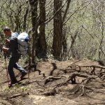 初心者向け富士山登山の所要時間は？
