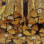 これであなたも焚火マスター【火おこしの…