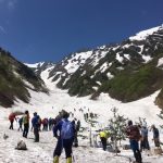 2018年6月上旬　針ノ木岳慎太郎祭　グレイ…