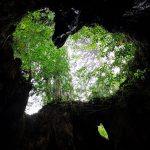 2019年8月上旬　屋久島　グランドロシュー…